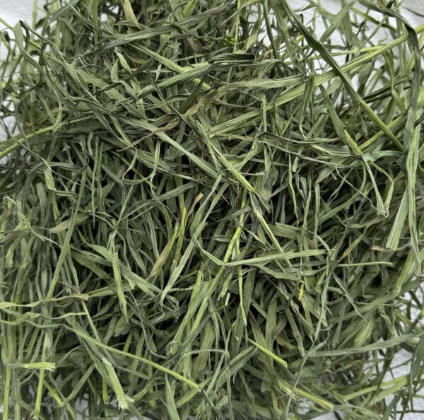 7LwrOaOX