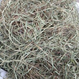 Tymotka Łąkowa II GATUNEK